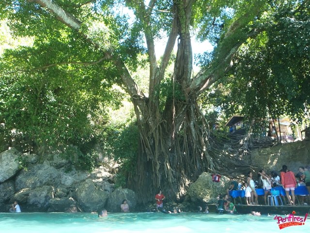 Obong Spring Balete