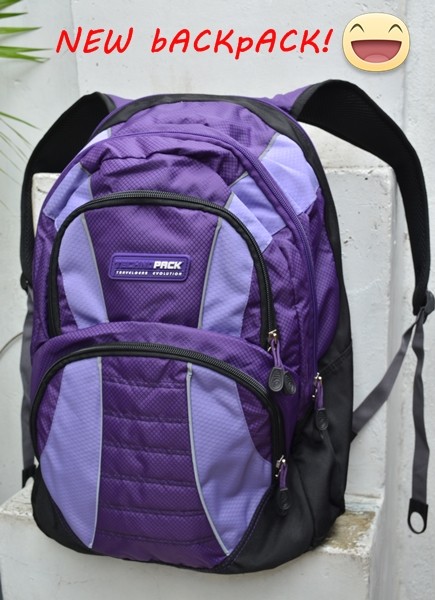 blogger travel backpack