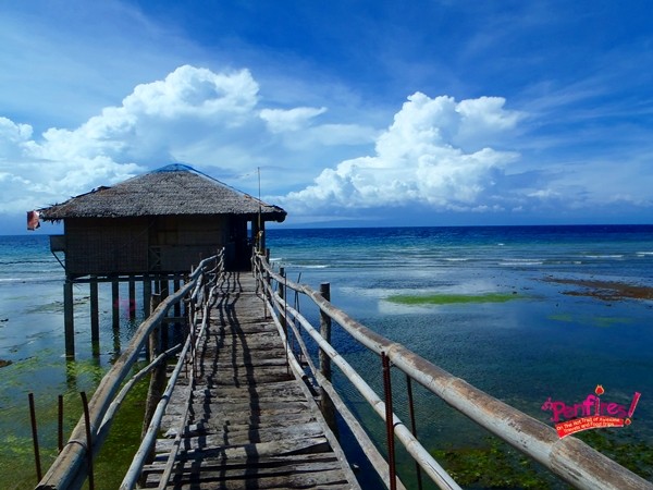 Guiwanon Spring Park of Siquijor