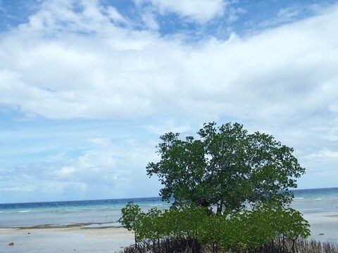 Tulapos Marine Sanctuary