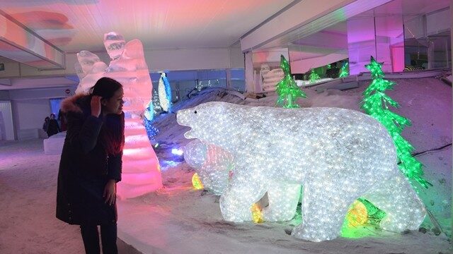 snow bear