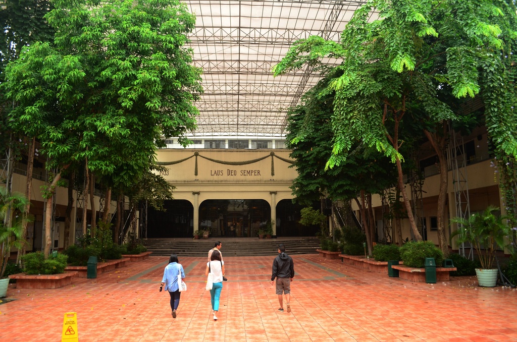Pampanga Town Trees