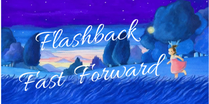 Flashback Fast Forward Diary