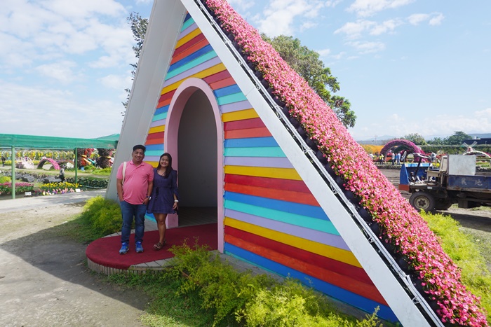 Taichung Houli Flower Farm Tour