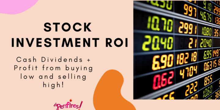 STOCK INVESTMENT ROI